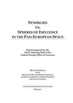 SYNERGIES VS. SPHERES OF INFLUENCE IN THE PAN