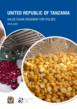 UNITED REPUBLIC OF TANZANIA