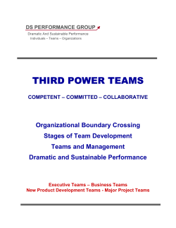 Third Power Teams - DS Performance Group
