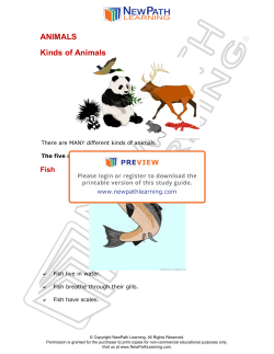 Fish - NewPath Learning