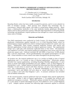 Managing Tropical Spiderwort in Roundup Ready