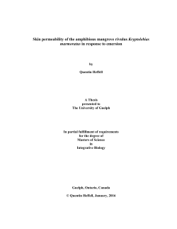 Skin permeability of the amphibious mangrove rivulus