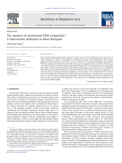 The mystery of cytochrome P450 Compound I