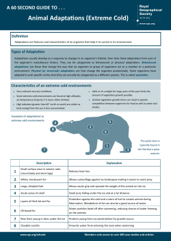 Animal Adaptations (Extreme Cold)
