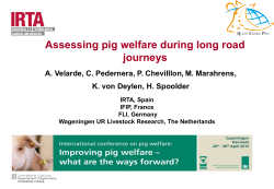 Assessing Pig Welfare during Long Road Journeys