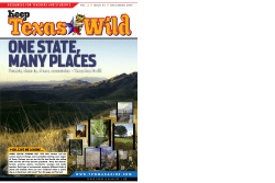 Forests, deserts, rivers, mountains Texas has it all!