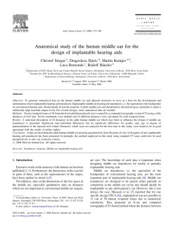 Anatomical study of the human middle ear for the