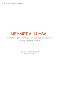 mehmet ali uysal - Galerie Paris Beijing
