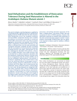 Seed Dehydration and the Establishment of