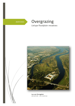 Overgrazing - ARK Natuurontwikkeling
