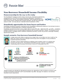 Non-Borrower Household Income Flexibility