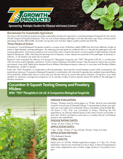 TKO + BRAVO WEATHER STIK