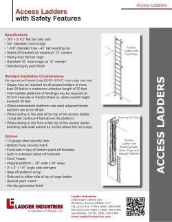 access ladders - Ladder Industries