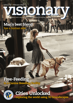 February 2015 Visionary - International Guide Dog Federation