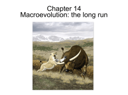 Chapter 14 Macroevolution: the long run