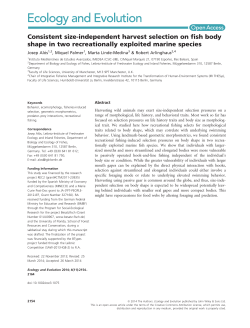 Consistent sizeindependent harvest selection on fish body shape in