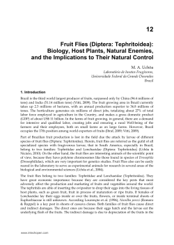 as PDF