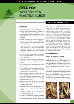 Field pea: western NSW planting guide