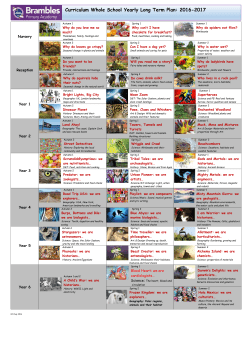 Brambles Whole School Curriculum 2016-17
