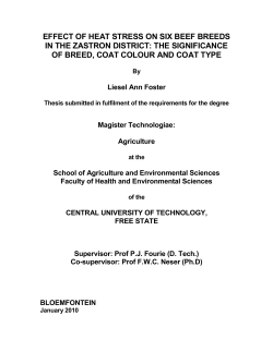 the significance of breed, coat colour and coat type