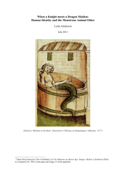 When a Knight meets a Dragon Maiden: Human