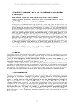 LM and SEM Studies on Tongue and Lingual Papillae in the Donkey