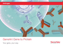 GeneArt Gene to Protein - Thermo Fisher Scientific