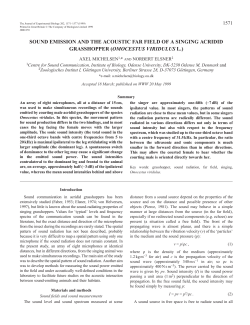 Sound emission of a singing grasshopper