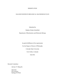 DISSERTATION HALOGEN BONDS IN BIOLOGICAL