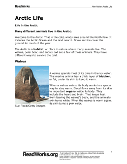 Arctic Life - Covington Independent Public Schools