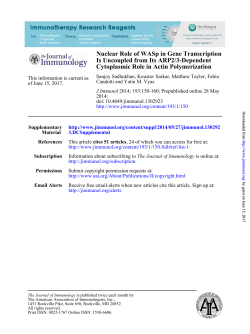 Nuclear Role of WASp in Gene Transcription Is Uncoupled from Its