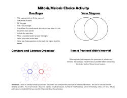 Mitosis/Meiosis Choice Activity