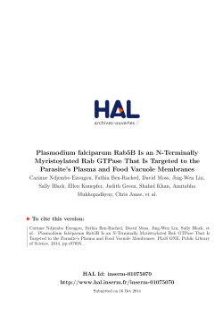 Plasmodium falciparum Rab5B Is an N-Terminally - HAL