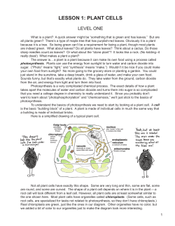 lesson 1: plant cells