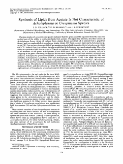 Synthesis of Lipids from Acetate Is Not Characteristic of