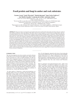 Fossil protists and fungi in amber and rock substrates