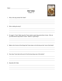Old Yeller Unit