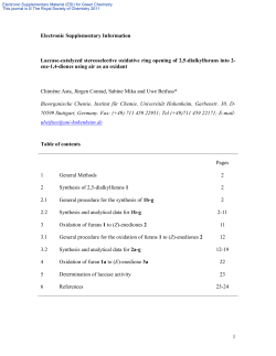 Electronic Supplementary Information