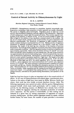 Control of Sexual Activity in Chlamydomonas by Light