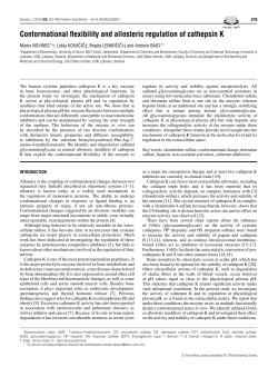 Conformational flexibility and allosteric regulation of cathepsin K