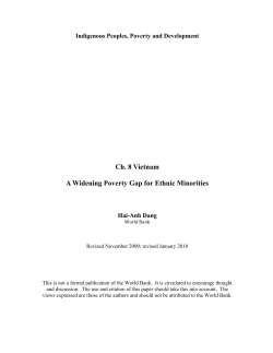 Ethnic Minority Groups in Vietnam: Poverty and Human Development