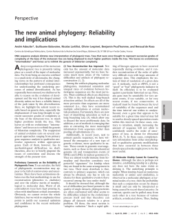 The new animal phylogeny: Reliability and implications