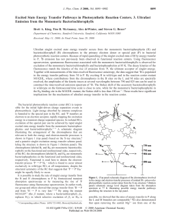 Excited State Energy Transfer Pathways in Photosynthetic Reaction