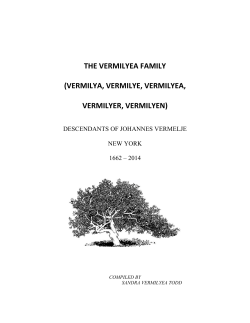 Generations 1-4 - Vermilyea Family Reunion