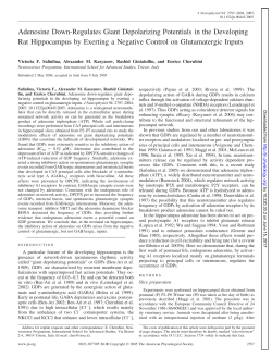 Adenosine Down-Regulates Giant Depolarizing Potentials in the