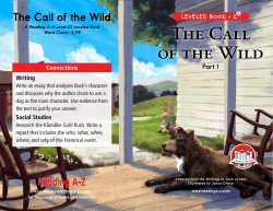 raz_lz26_callofwildpart1_clr