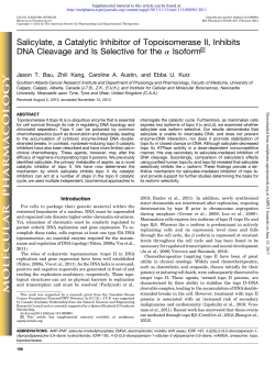 Salicylate, a Catalytic Inhibitor of Topoisomerase II, Inhibits DNA