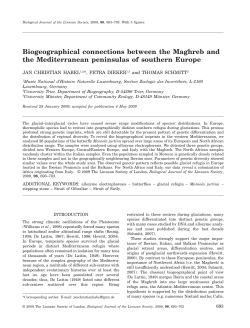 Biogeographical connections between the Maghreb and the