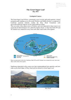 The Great Sugar Loaf - Mountaineering Ireland