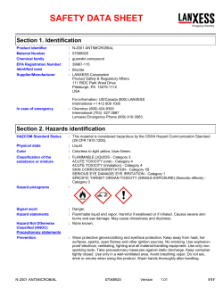 SDS - Palmer Holland